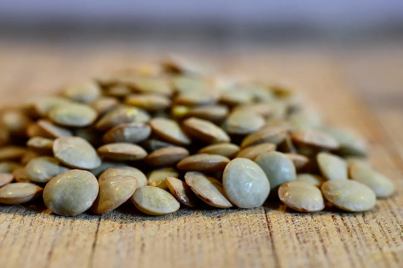 Petit tas de lentilles vertes sèches sur une table en bois